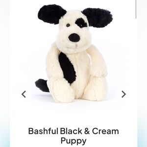Jellycat Bashful Black & Cream Puppy Plush Dog Toy